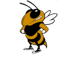 yellowjacket logo