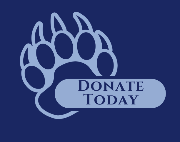 donate now