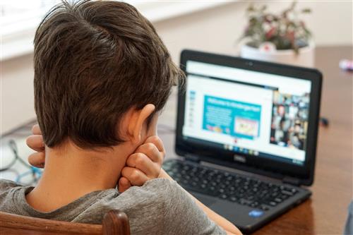 Virtual Schools