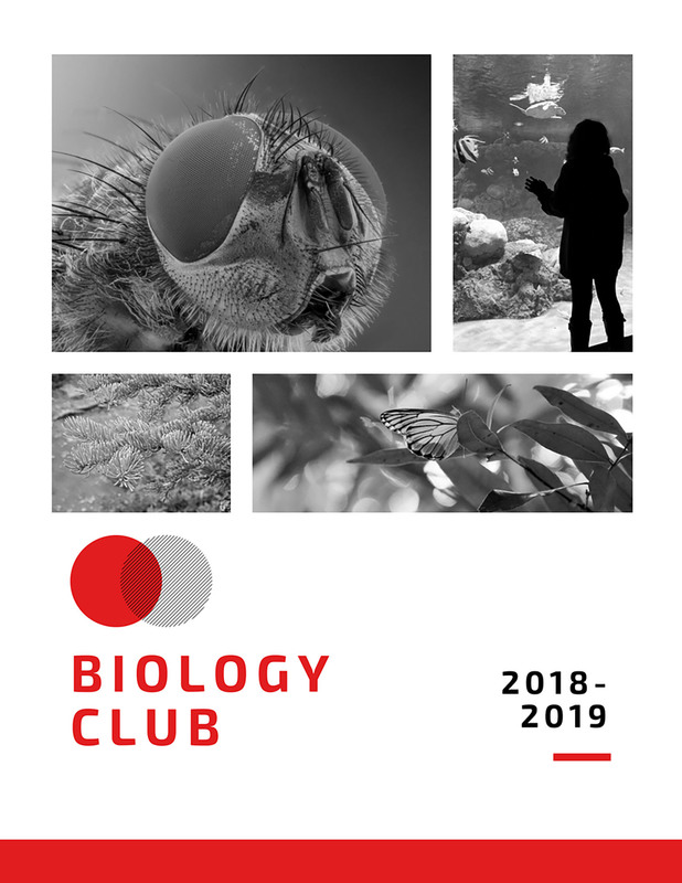 biology club 2018-2019 graphic