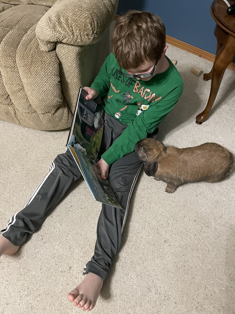boy student reading to bunny