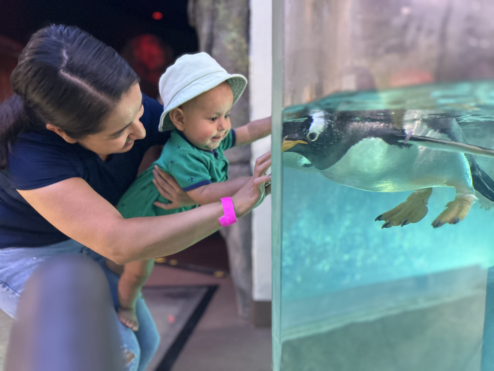 Mom and Baby at the Albuquerque aquarium