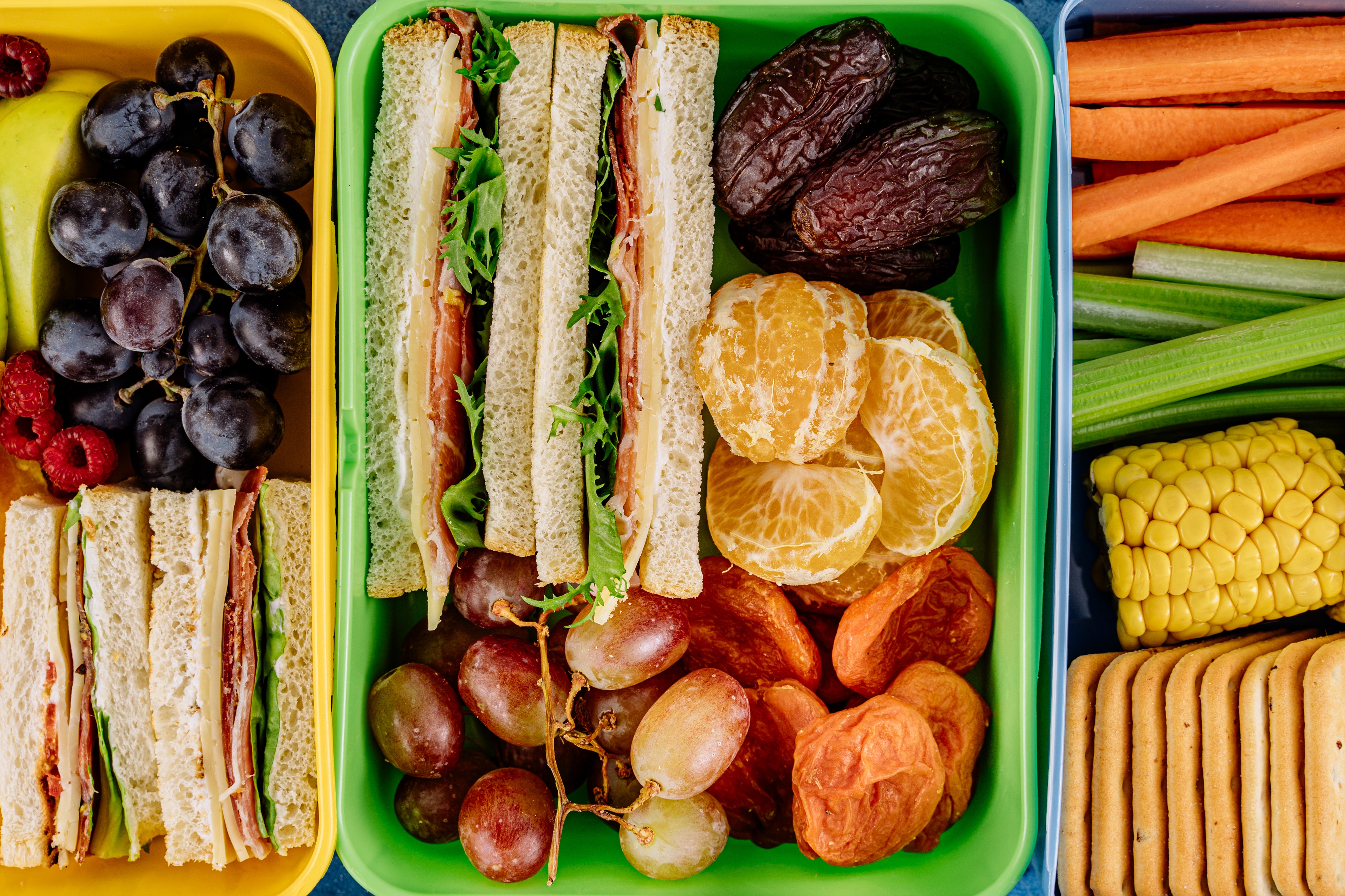lunch box with sandwich oranges and grapes