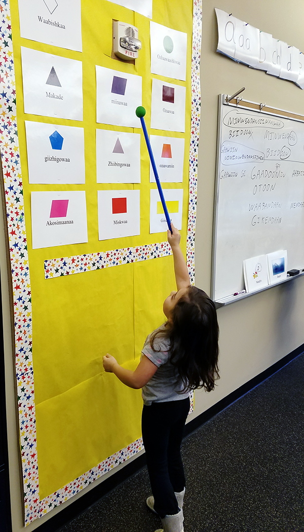 Little girl with long pointer, pointing at wall of colors and shapes in Ojibwe classroom.