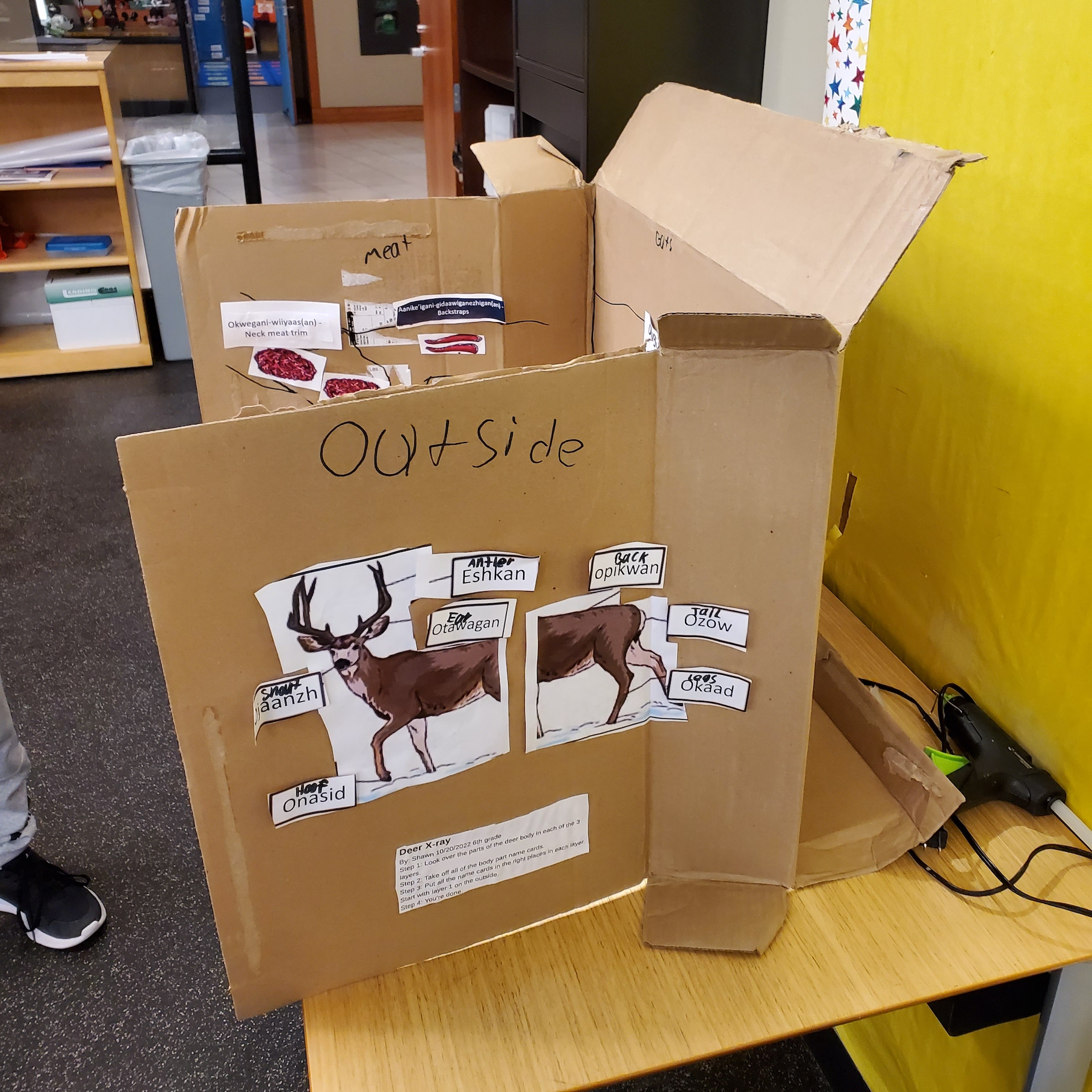 Student's project of deer parts written in Menominee language; outside of the box