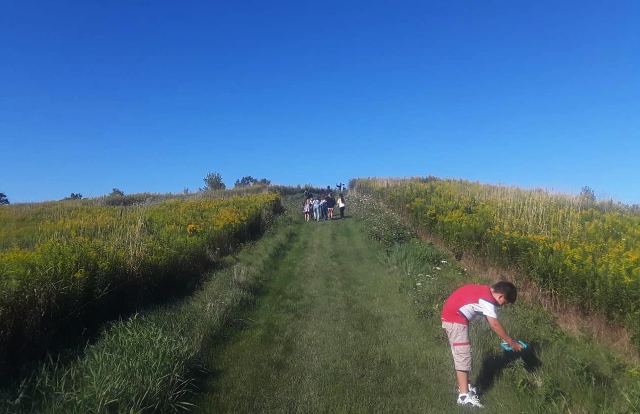 Blue sky and green fields of plant medicines. One student in the foreground bending over taking a photo of plant medicines with iPad; group of students far in the distance walking up the path.