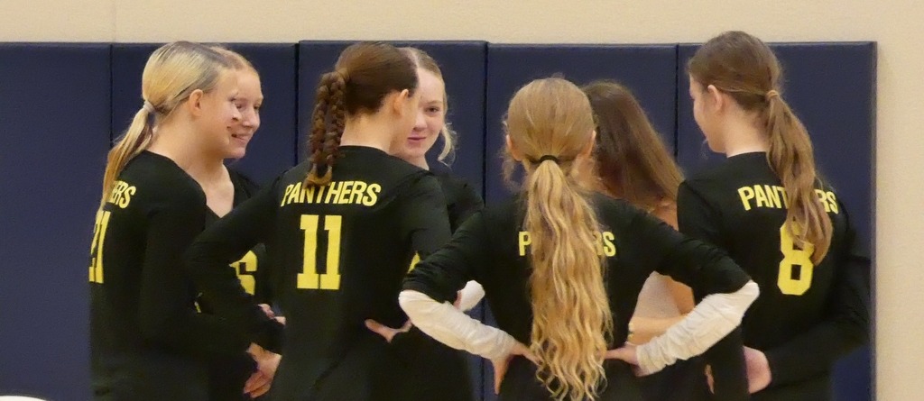 7 8 volleyball