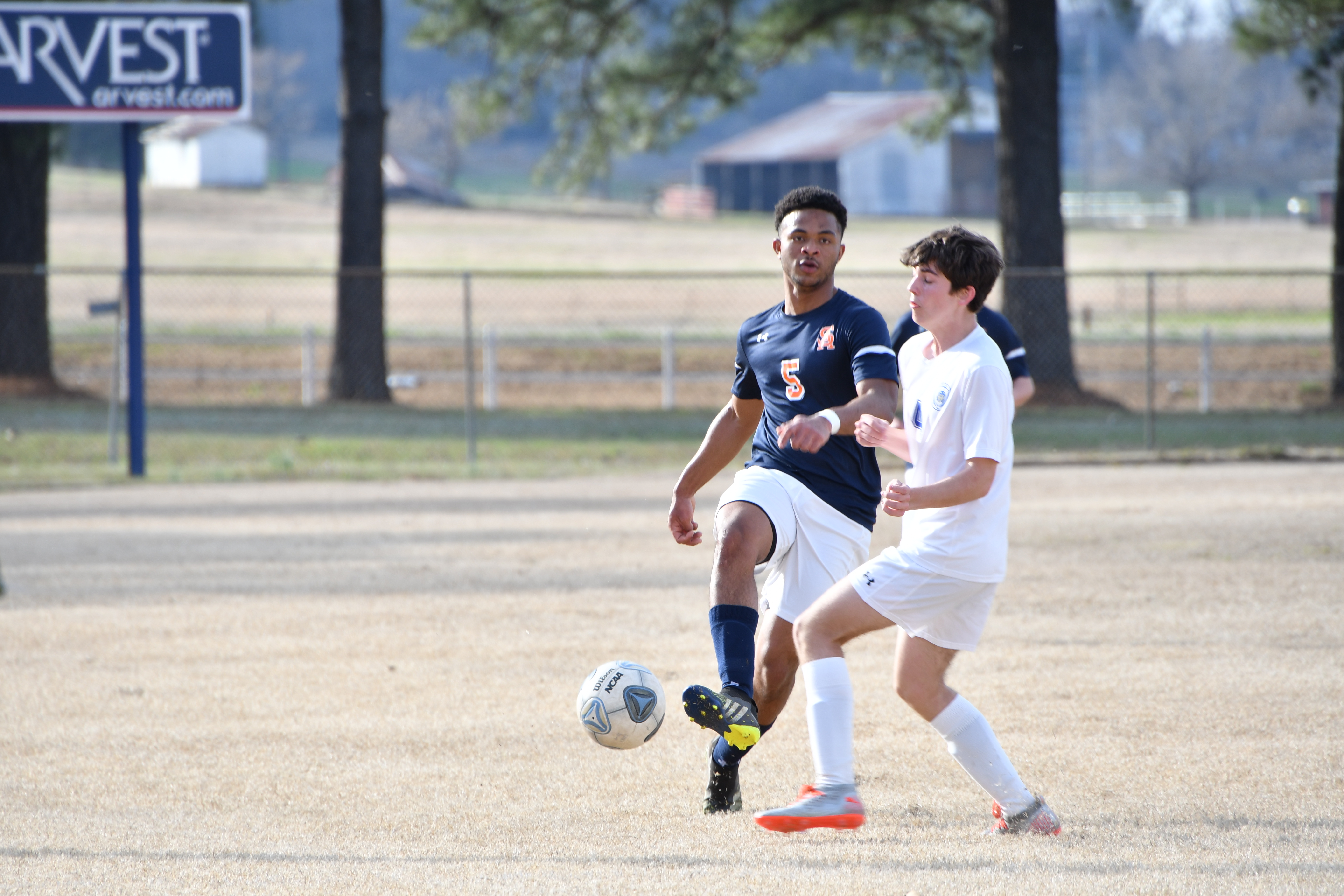 subiaco soccer