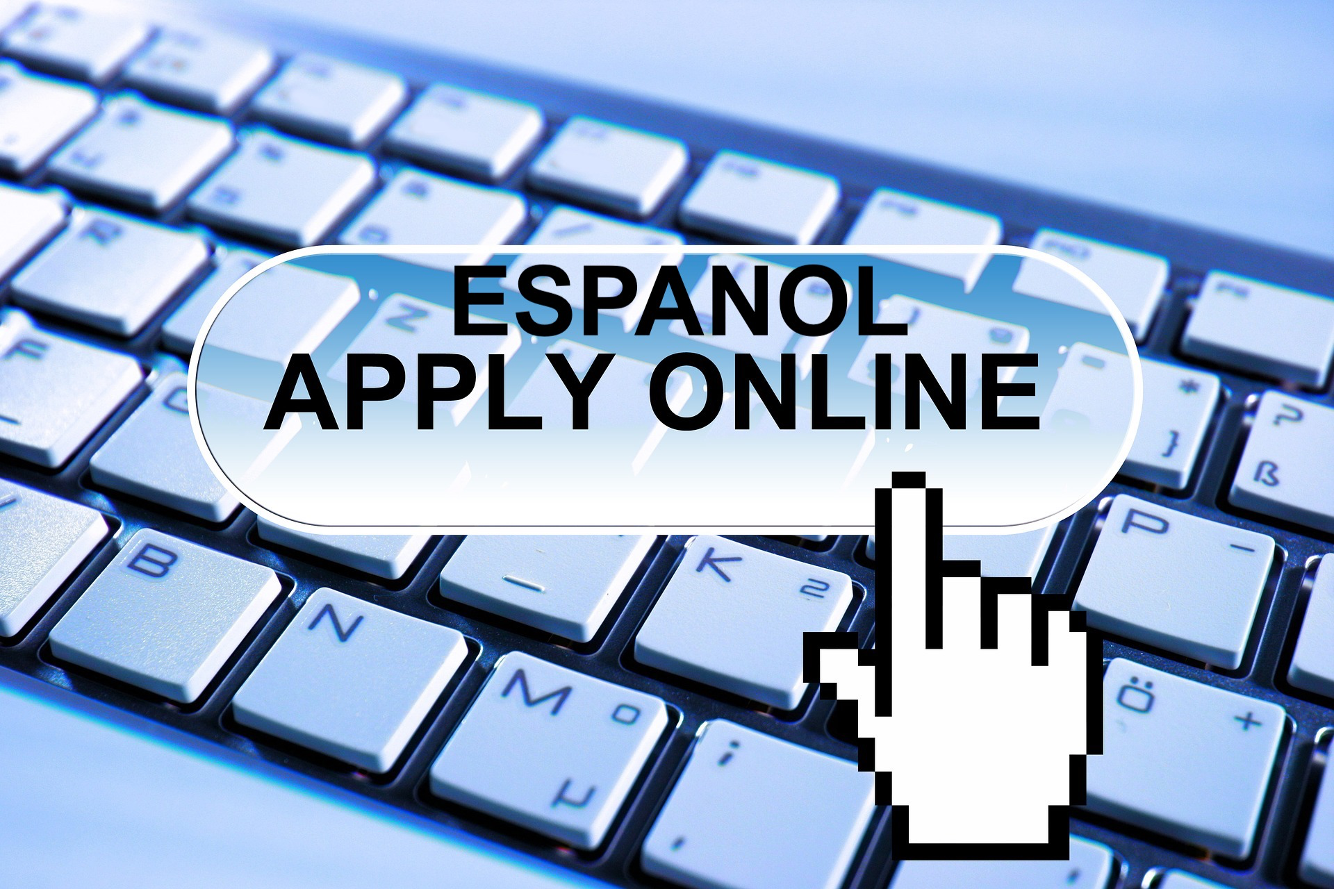 Apply Online - Spanish