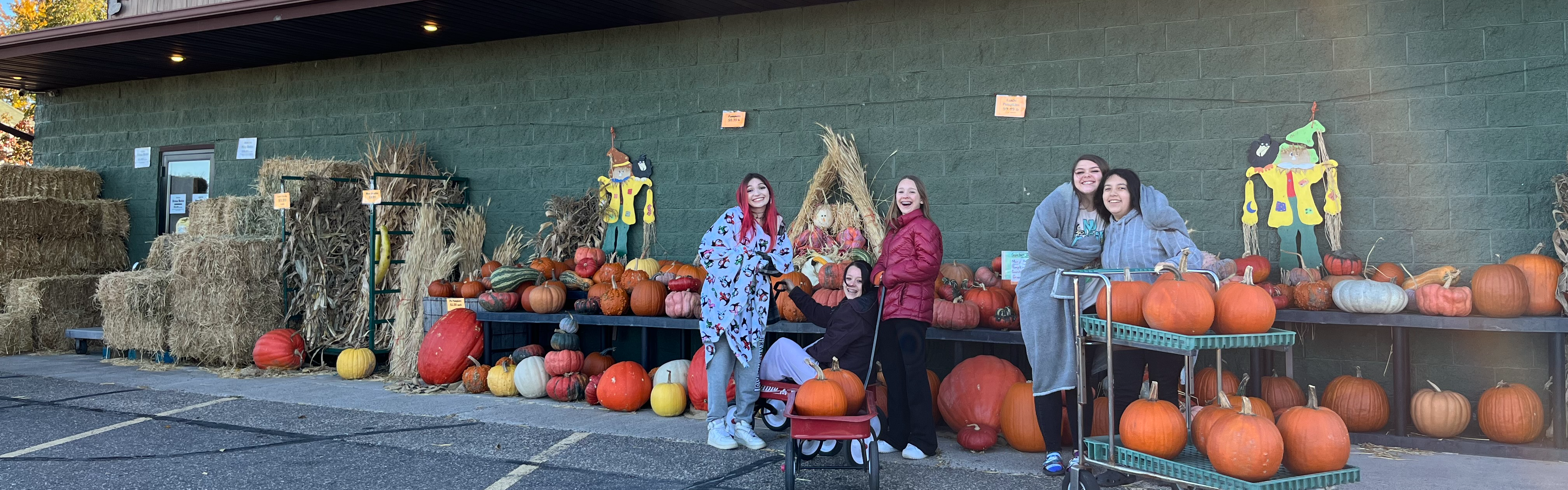 Students collecting pumpkins from the green barn
