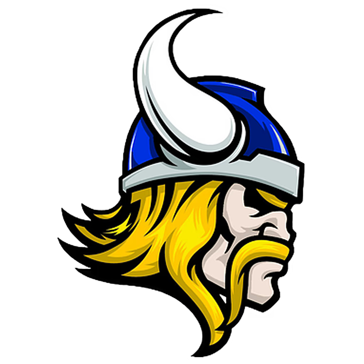 AP Classes Vidalia High School