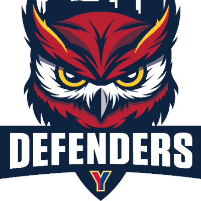 defender support services