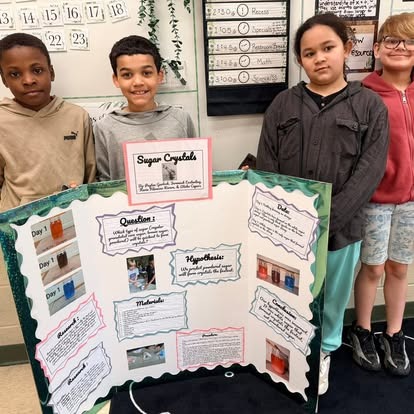 Science Fair