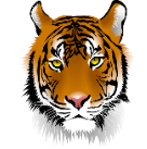 RECMS Tiger Mascot
