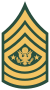 SERGEANT MAJOR OF THE ARMY