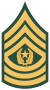 COMMAND SERGEANT MAJOR (CSM)