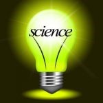 light Bulb
