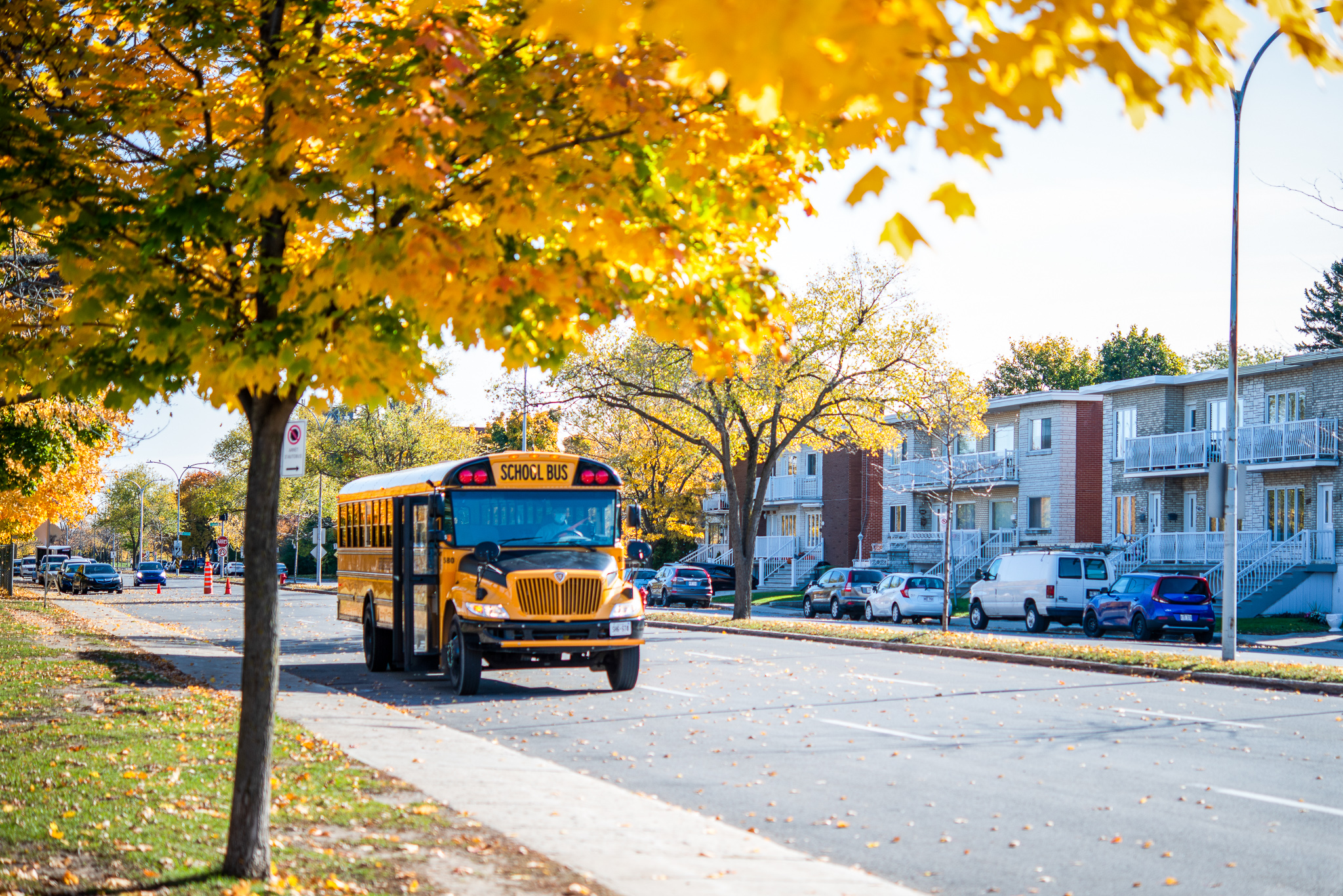 school bus on road under fall tree