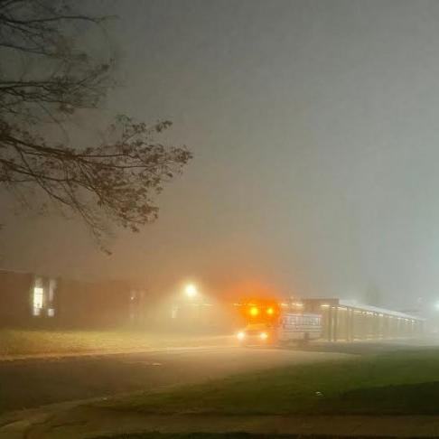 Bus in fog, waiting for picture