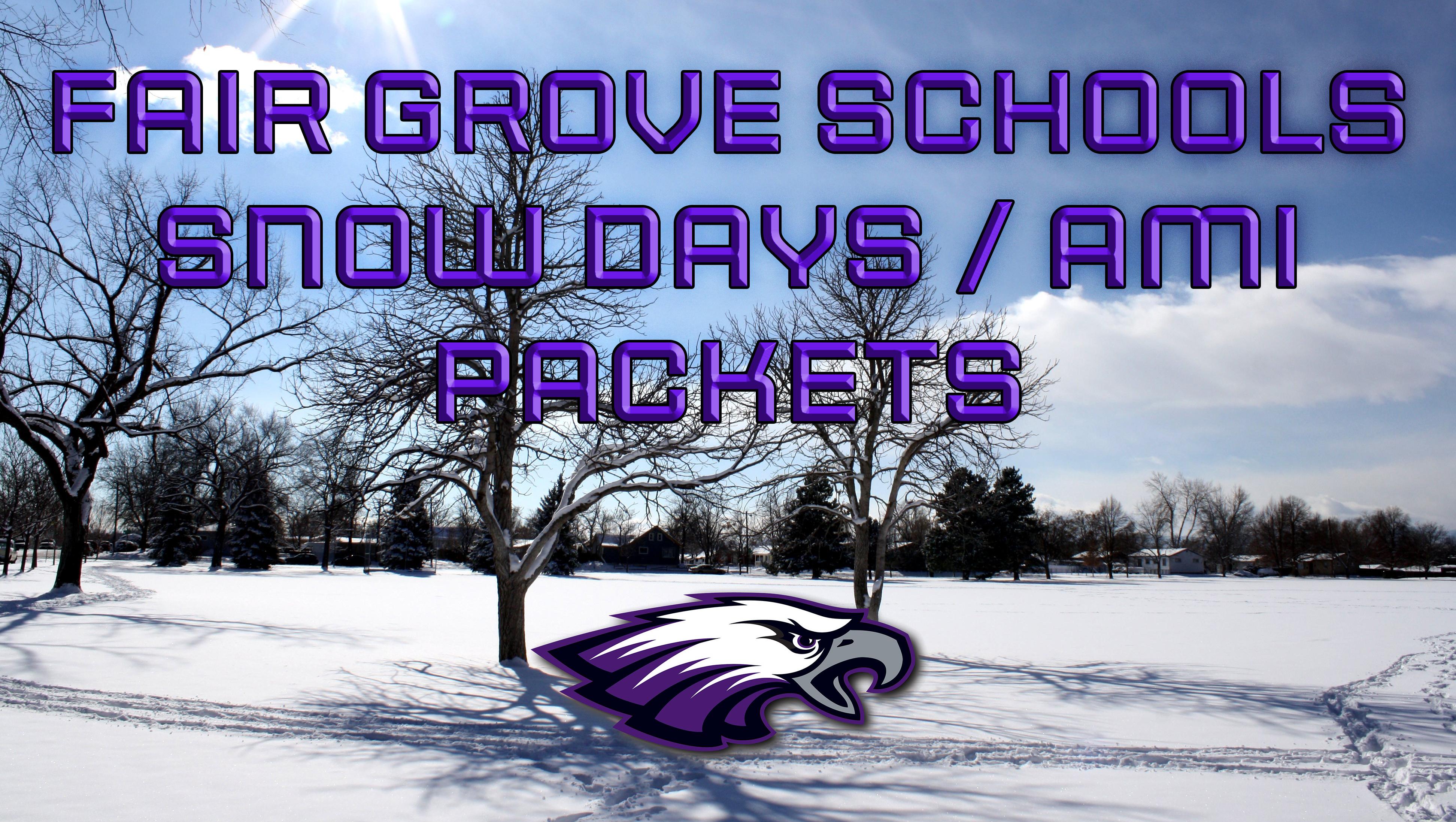 SNOW DAYS / AMI
