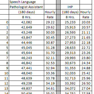 support pay scale 2