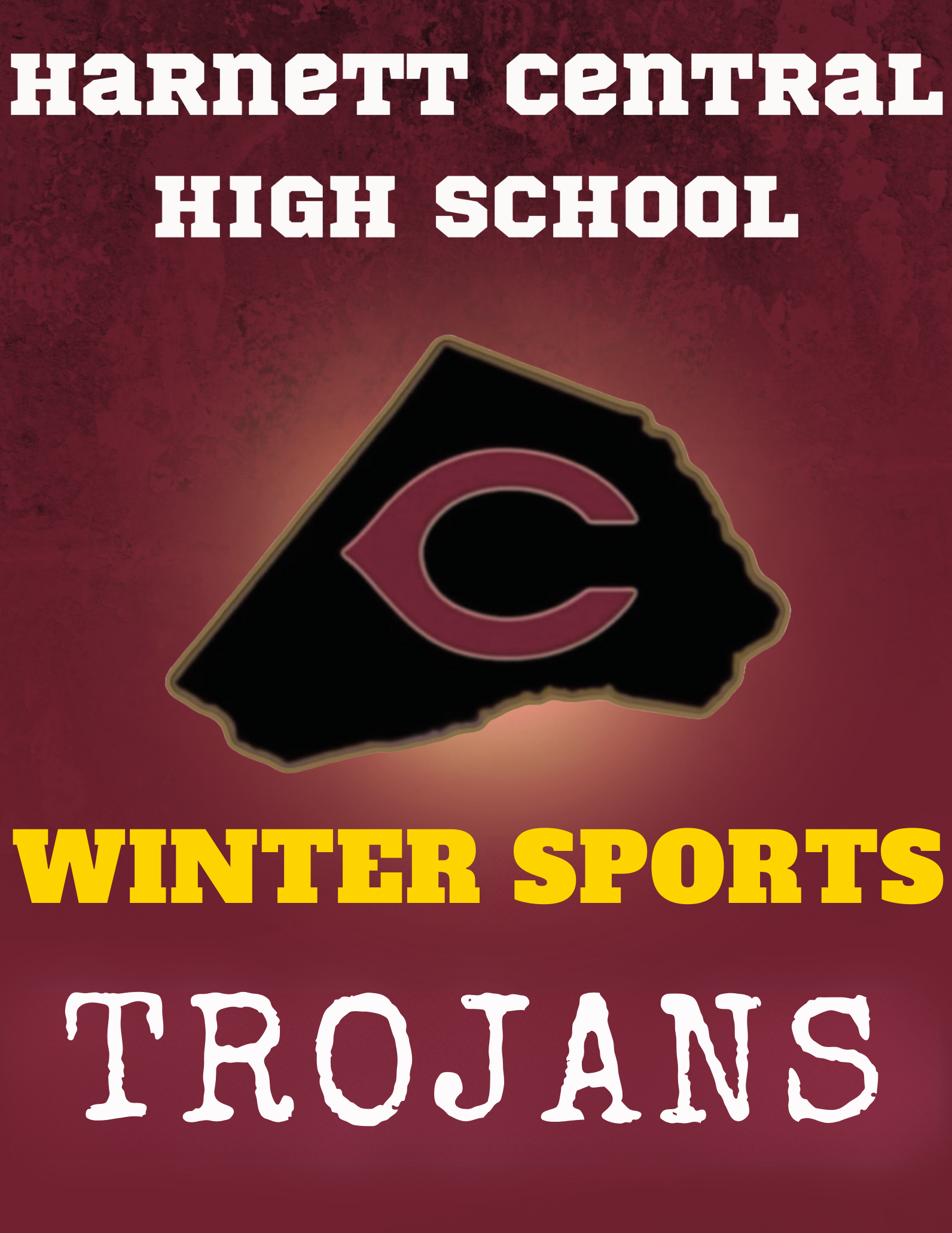 winter Sports
