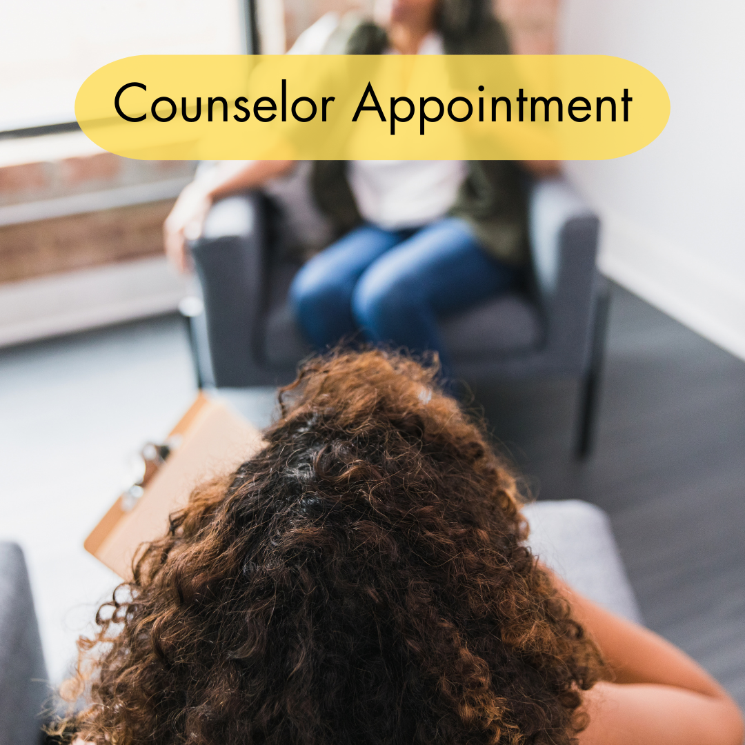 Cousnelor Appointment