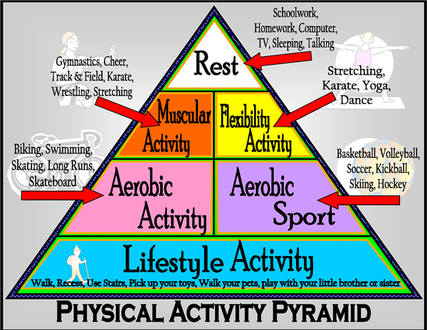 flyer with text with information about Physical Education; exercise, nutrition, athletics