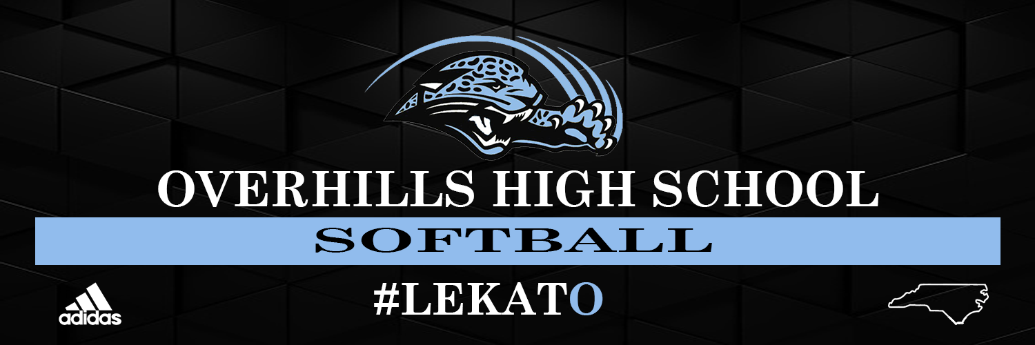 softballbanner