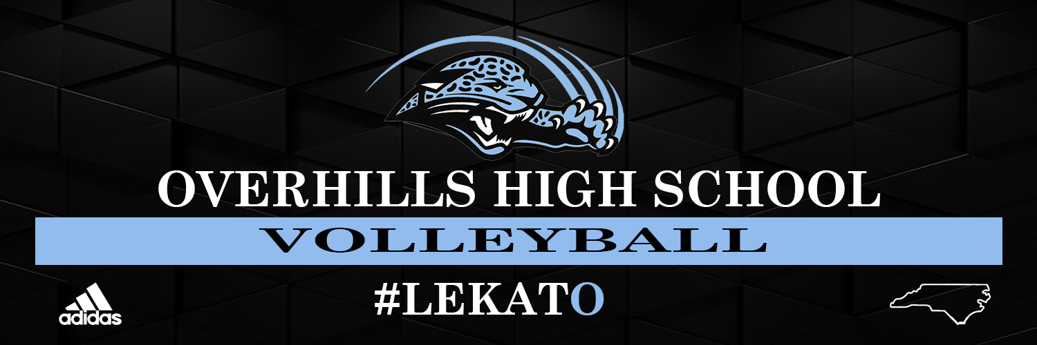 volleyballbanner