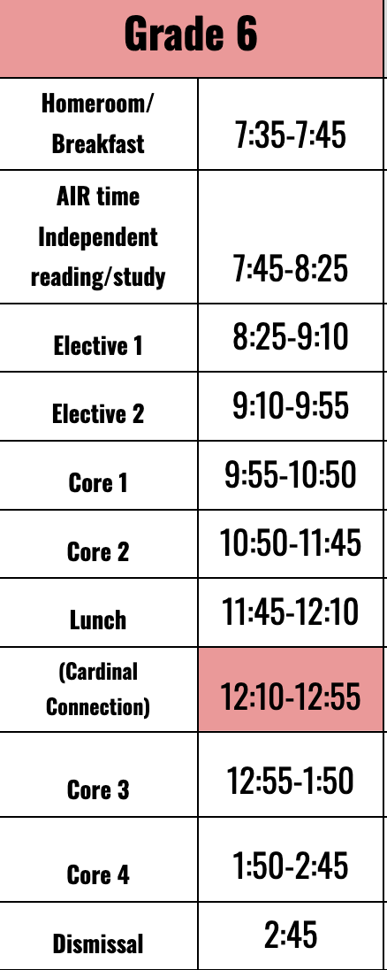 Daily Schedule