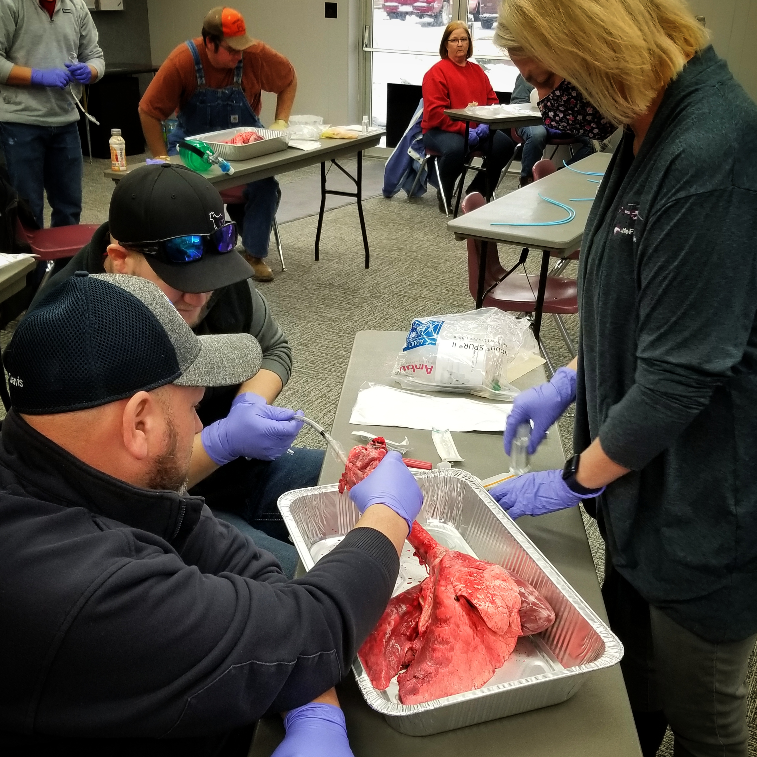 EMS refresher students practice intubation on pig lungs