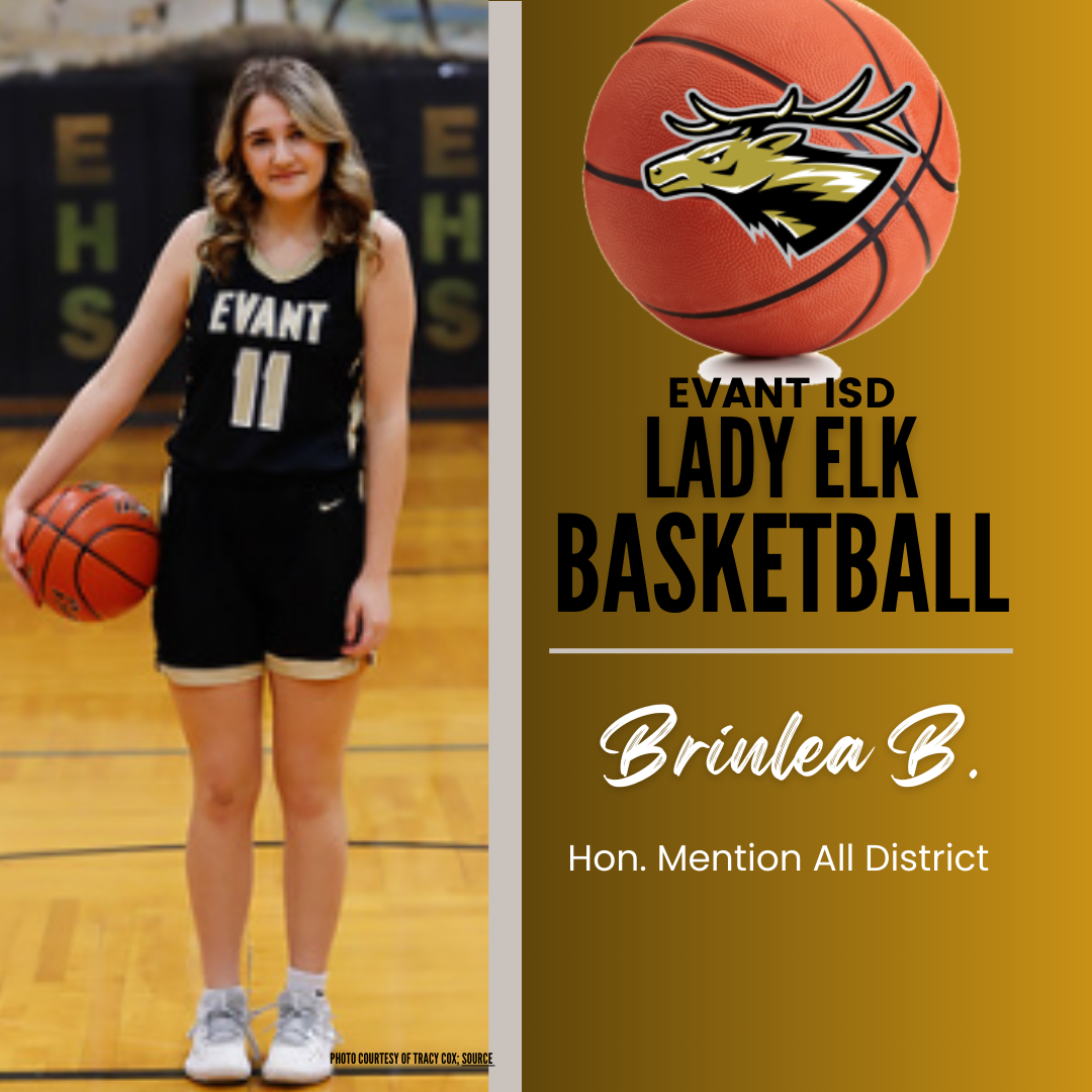 Brinlea B, All District Basketball Honors