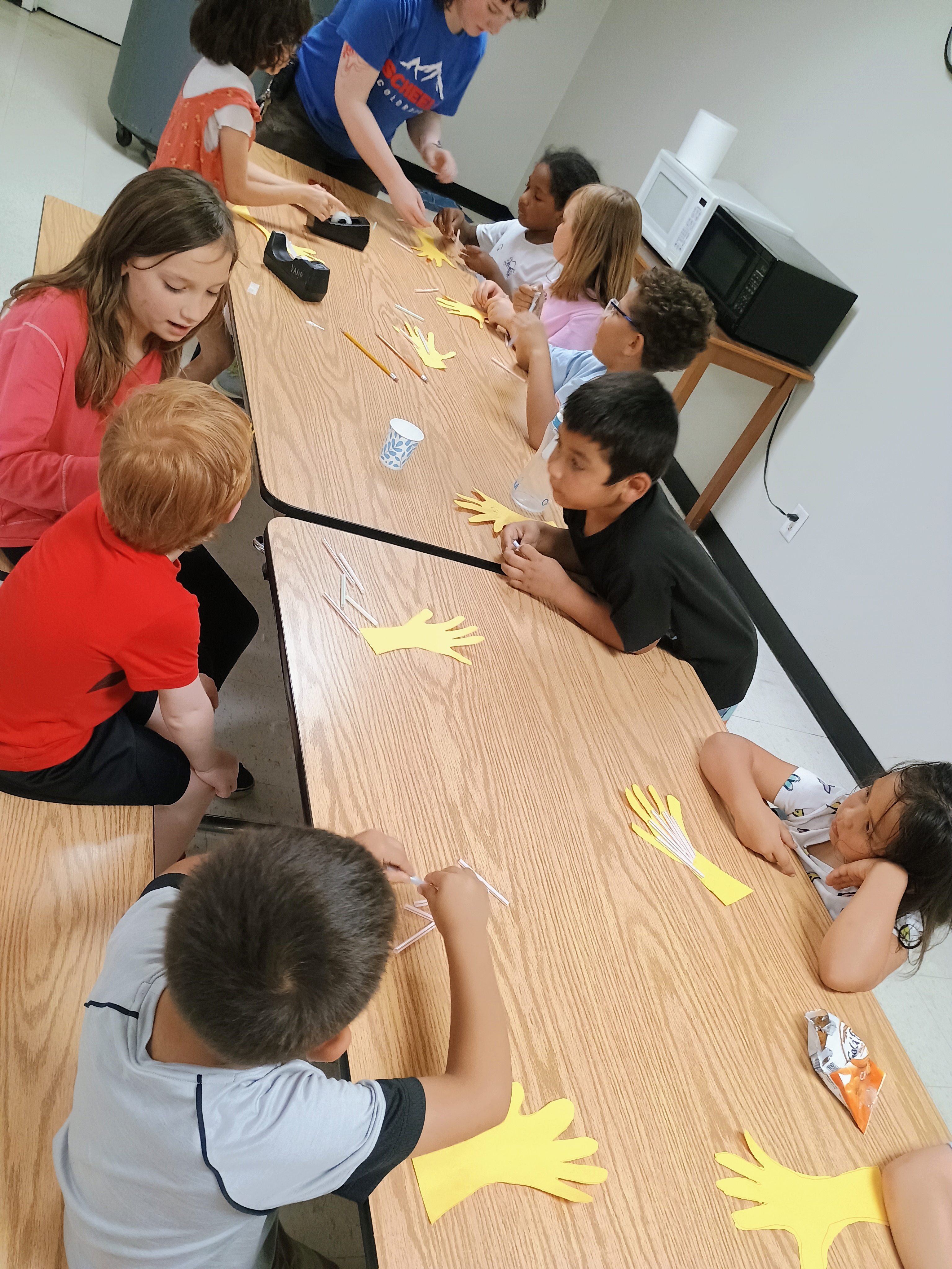 Ace Summer Program