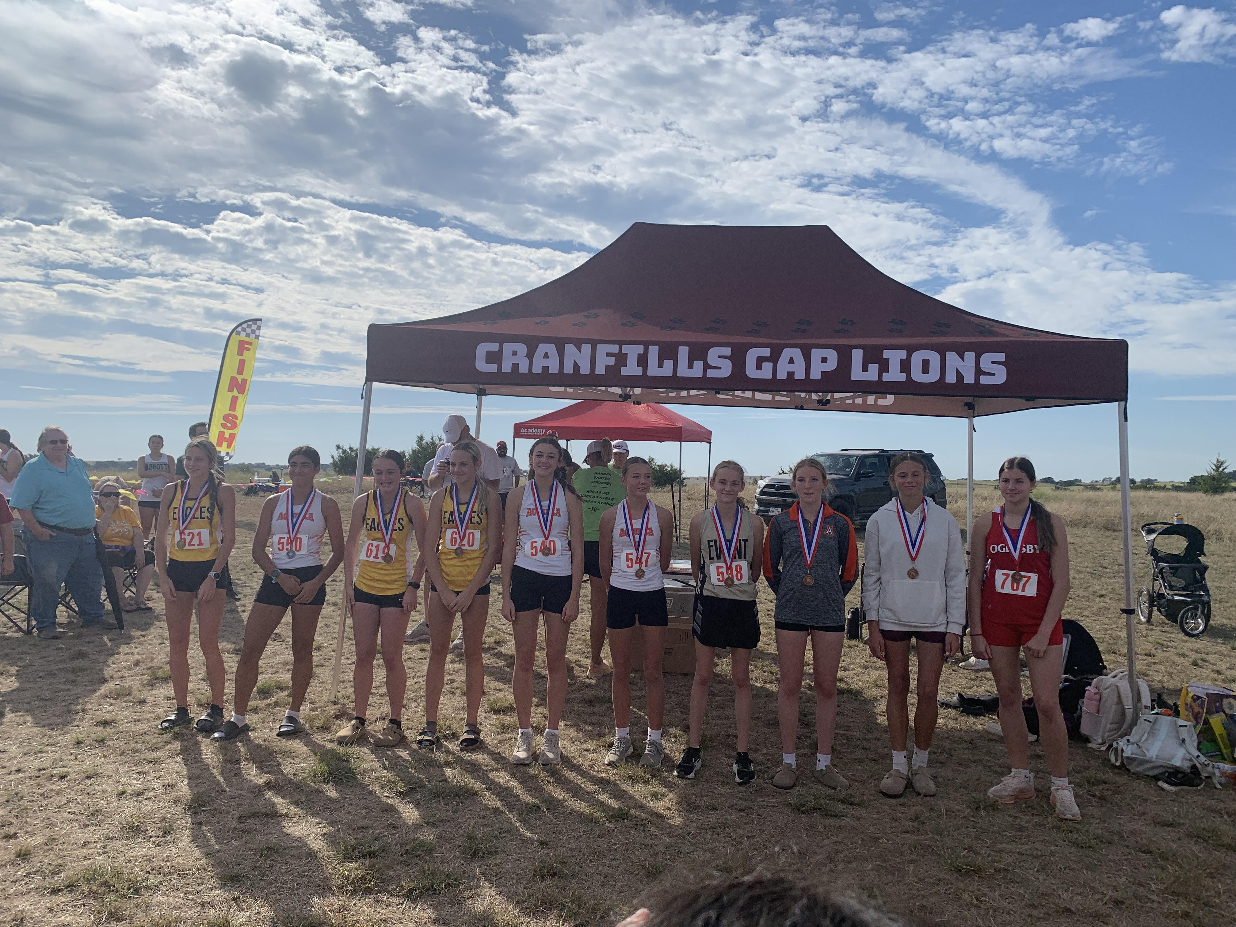 HS Cross Country District Photo