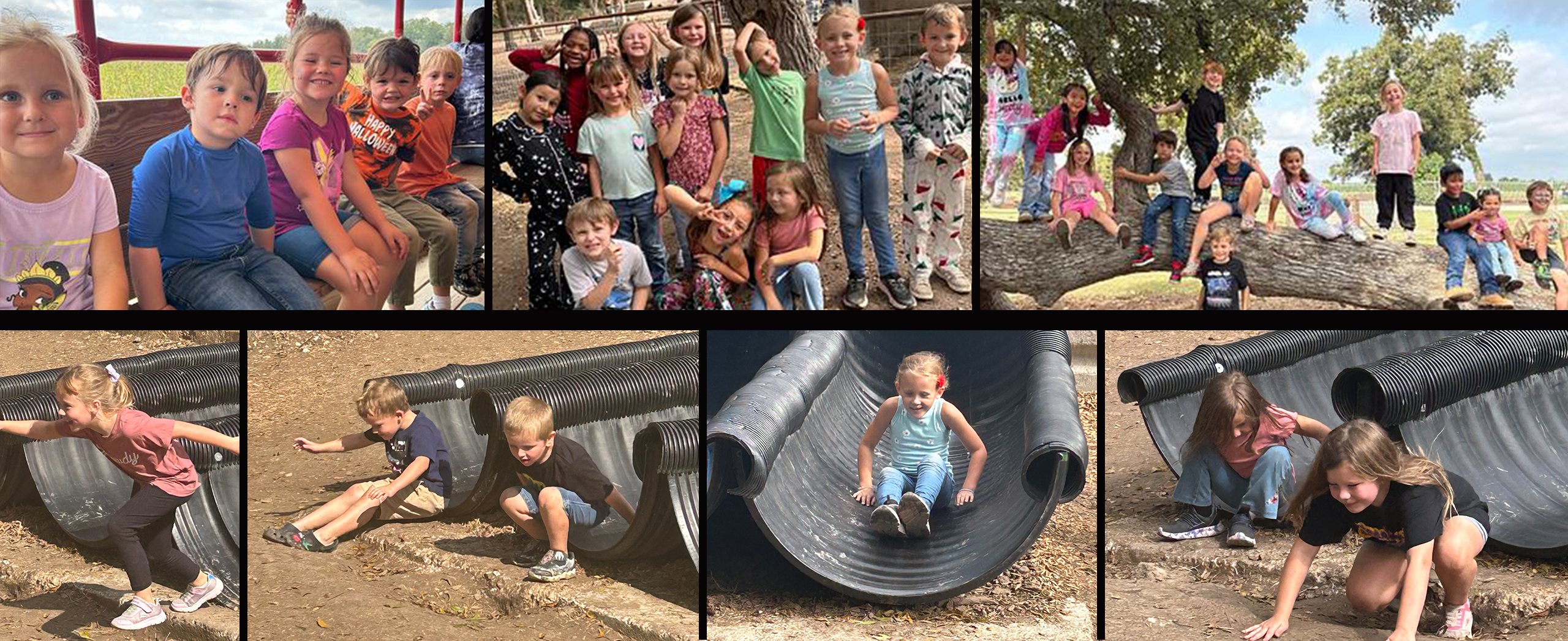 Sweet Eats Farm field trip collage image