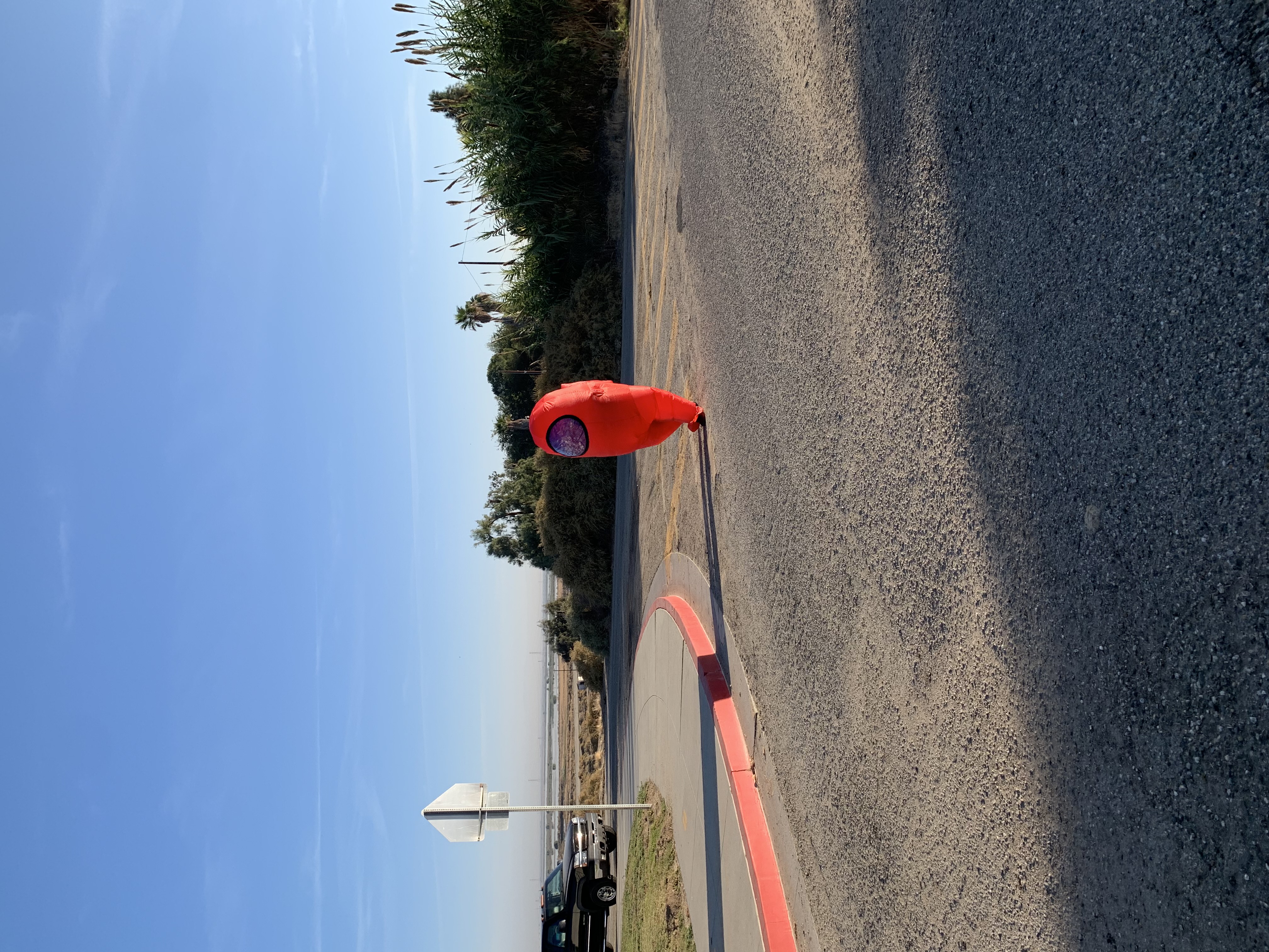 Student walking across the street in an Among Us costume