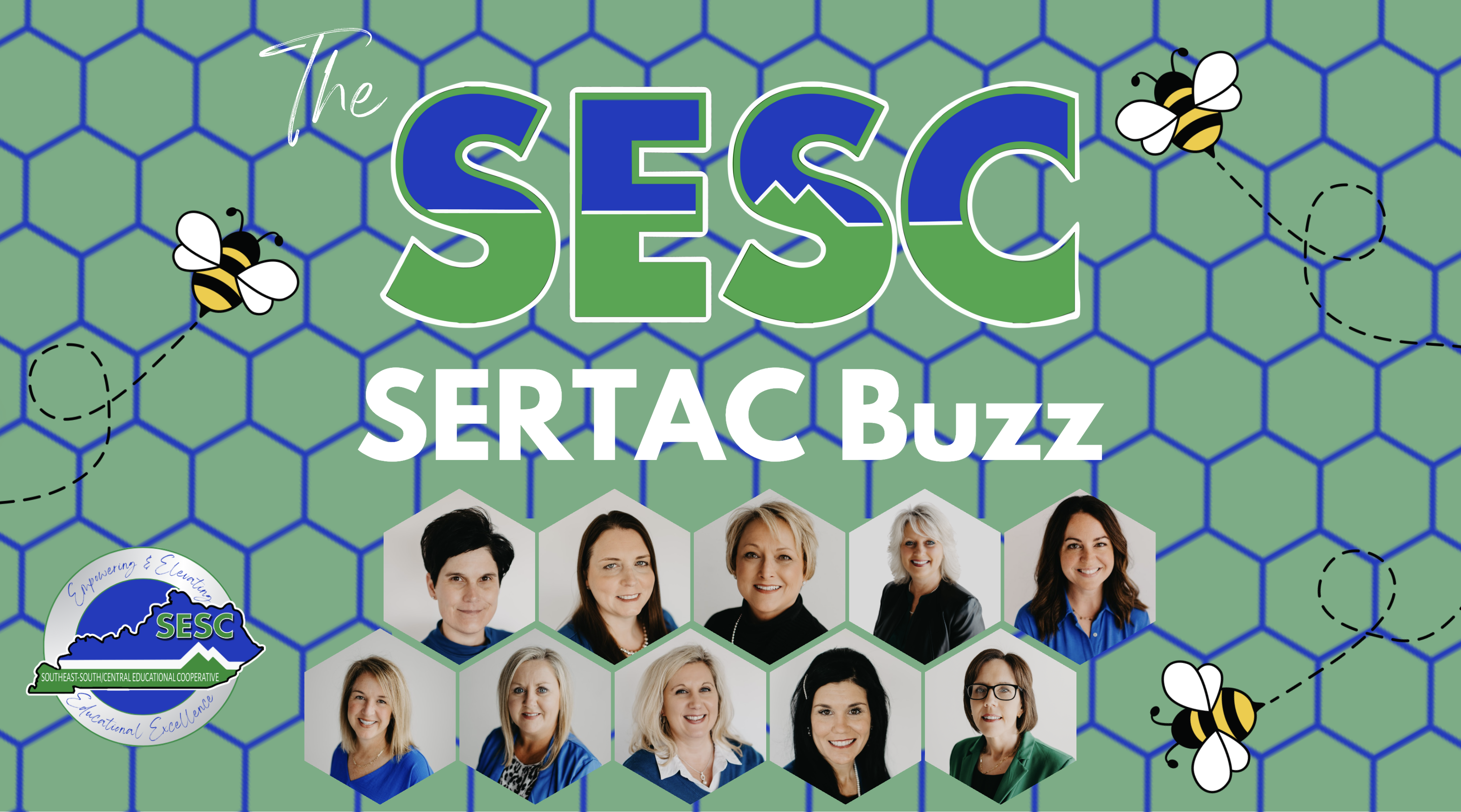 SERTAC Buzz Newsletter Header