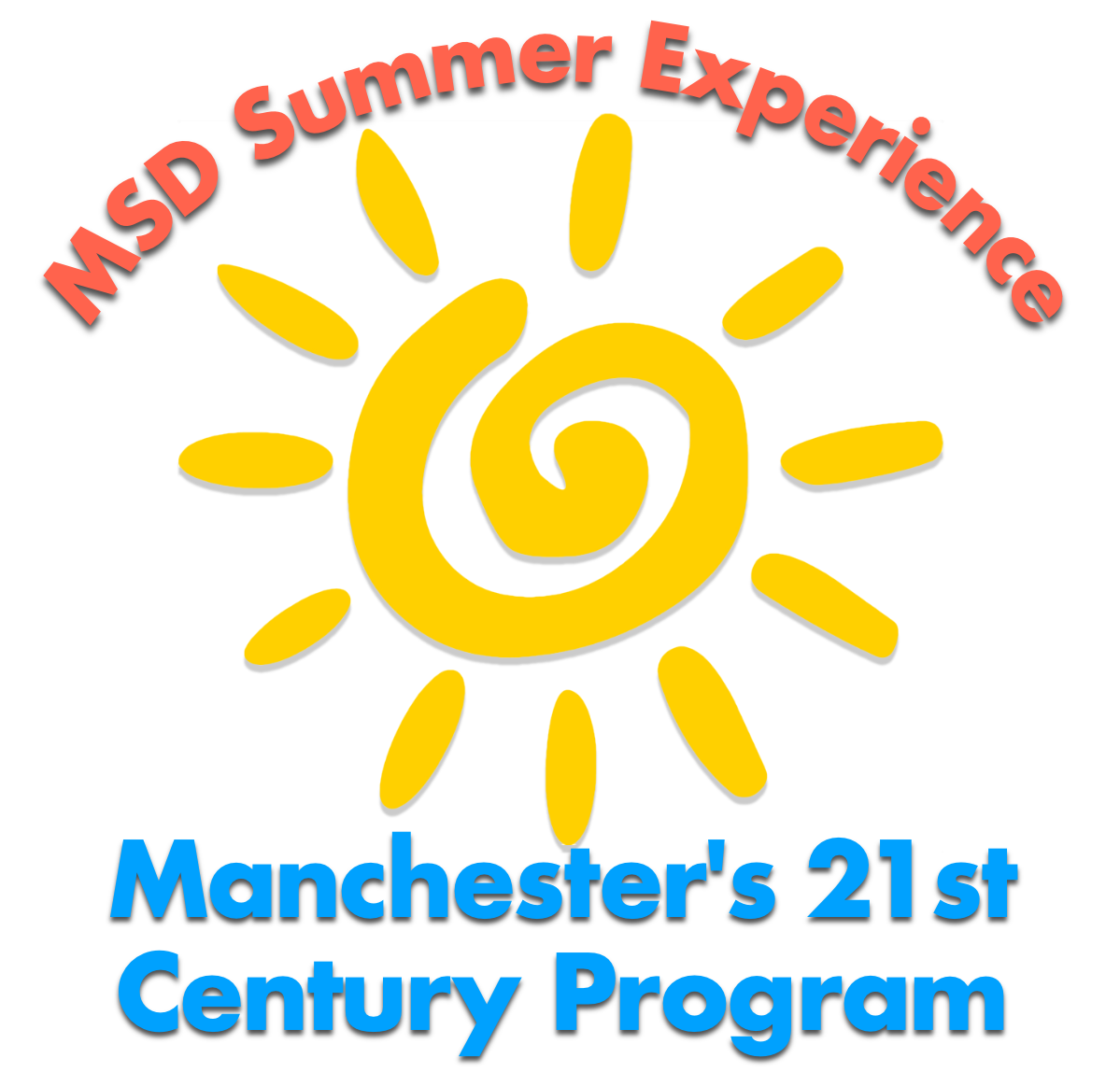 MSD Summer Experience
