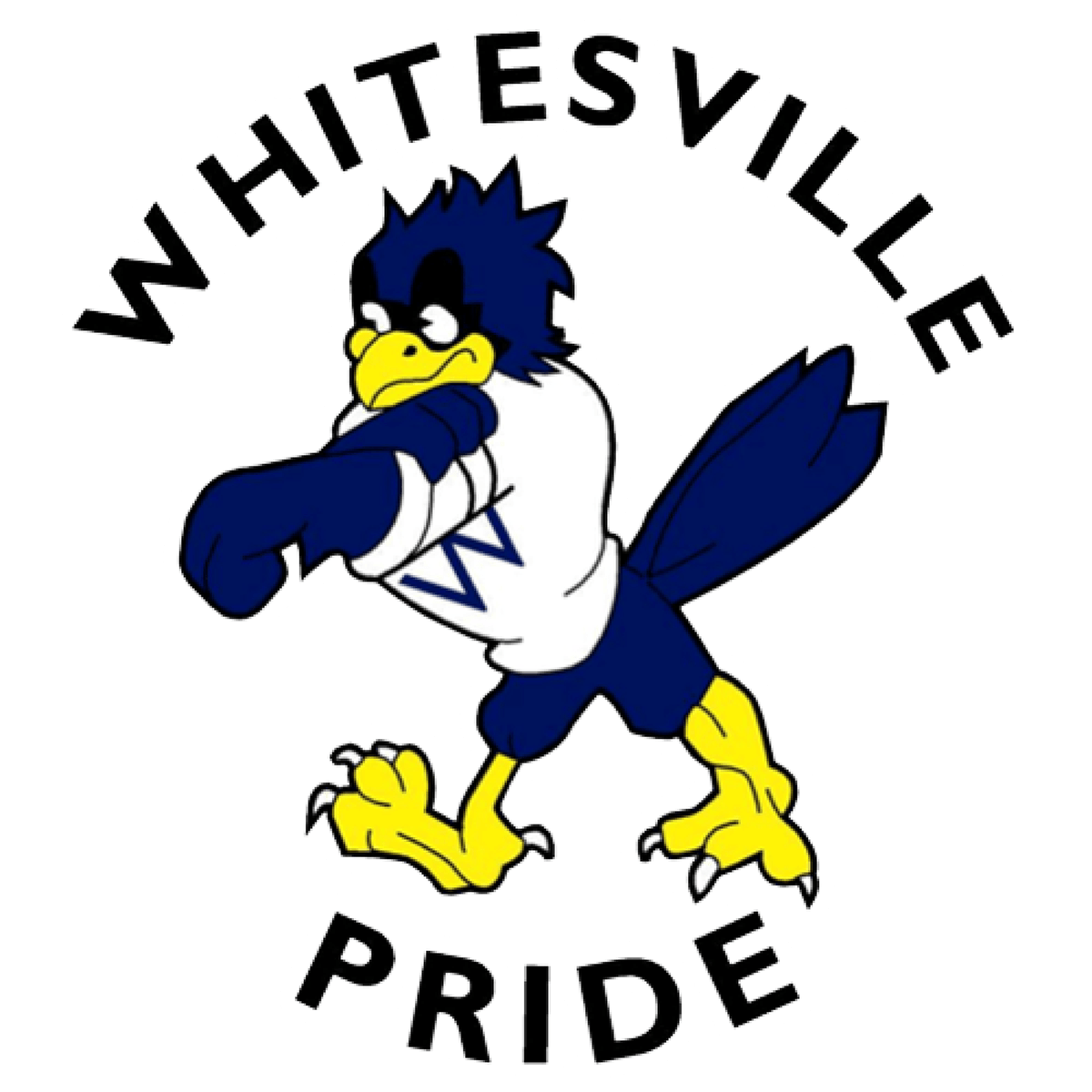 Strategic Plan 2025 Whitesville Central School Strategic Plan 2025 Whitesville Central School