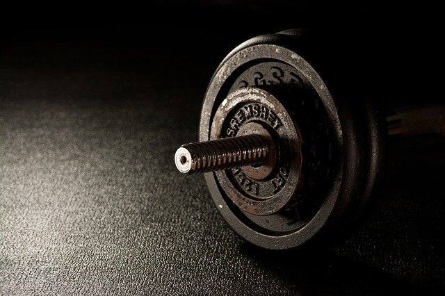 Elite Fitness