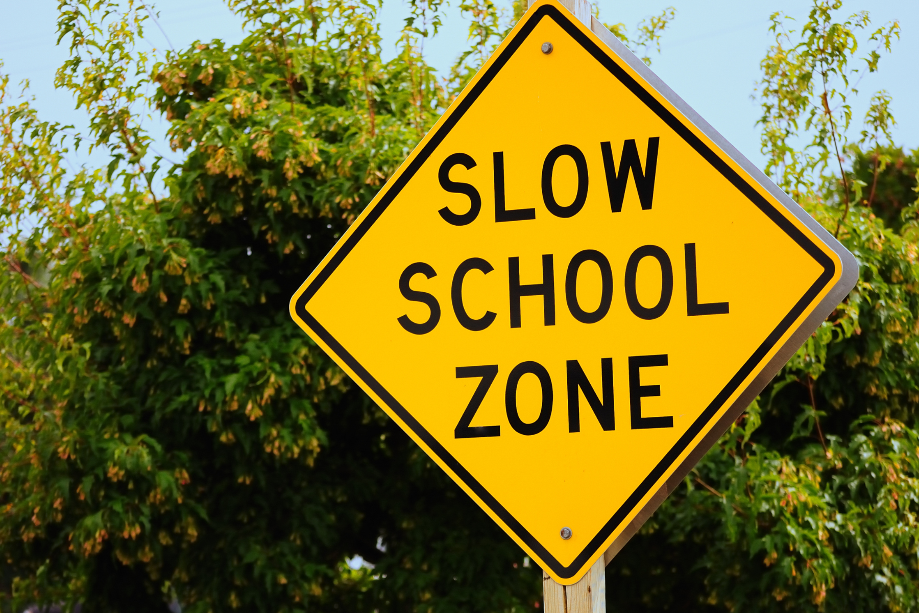 School Zones and Light Schedules : https://5il.co/1k7d2