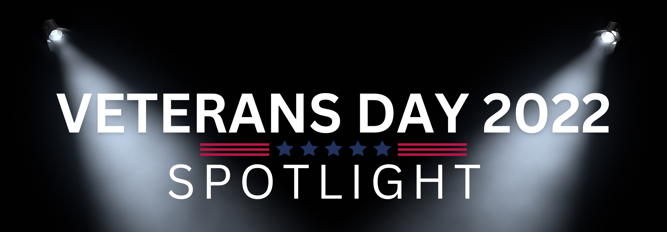 Veterans Day Spotlight