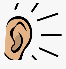 ear drawing