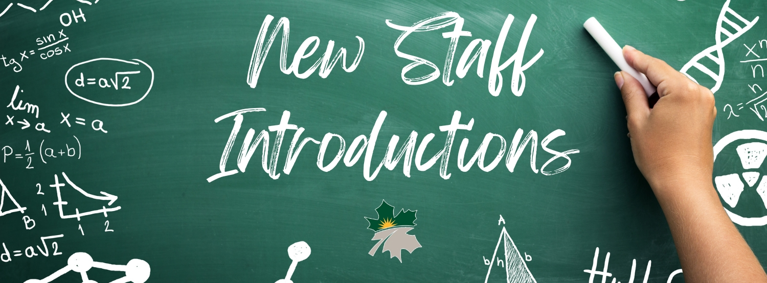 Get to know our new teachers!