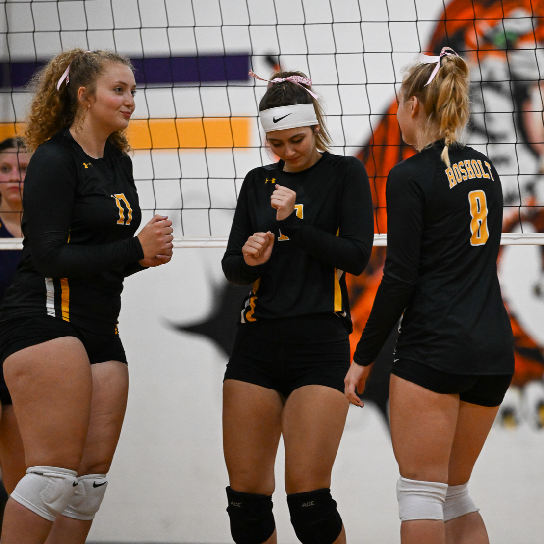 Athletics Rosholt School District