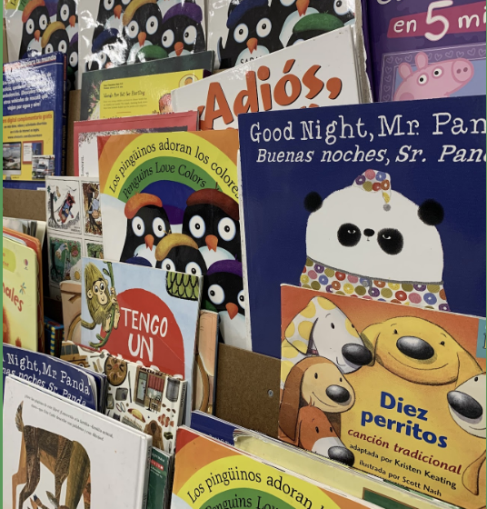 A collection of Spanish picture books is on display in a classroom