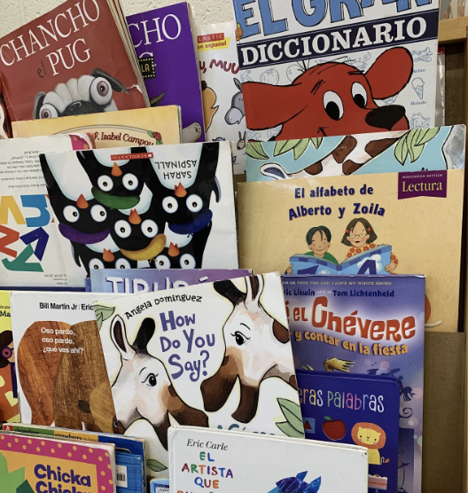 A collection of Spanish picture books on display in a classroom