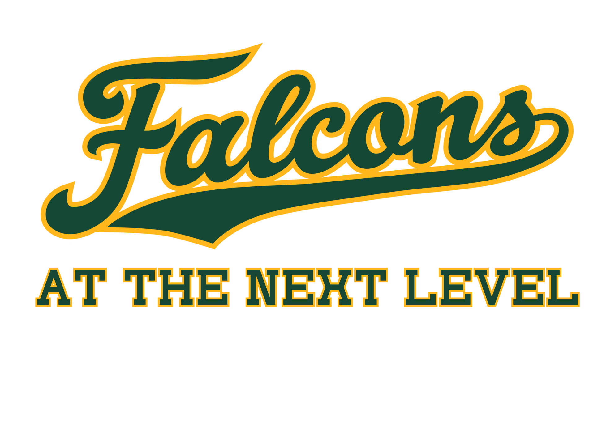 Falcons at the next level