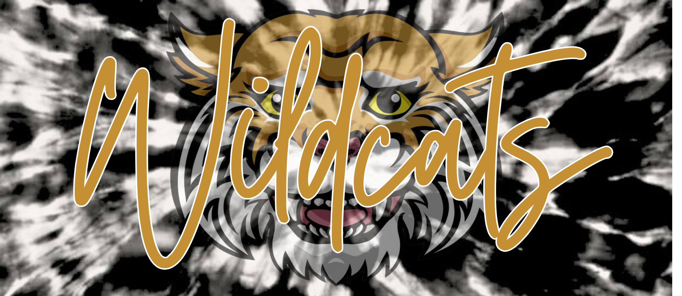 Wildcats graphic logo